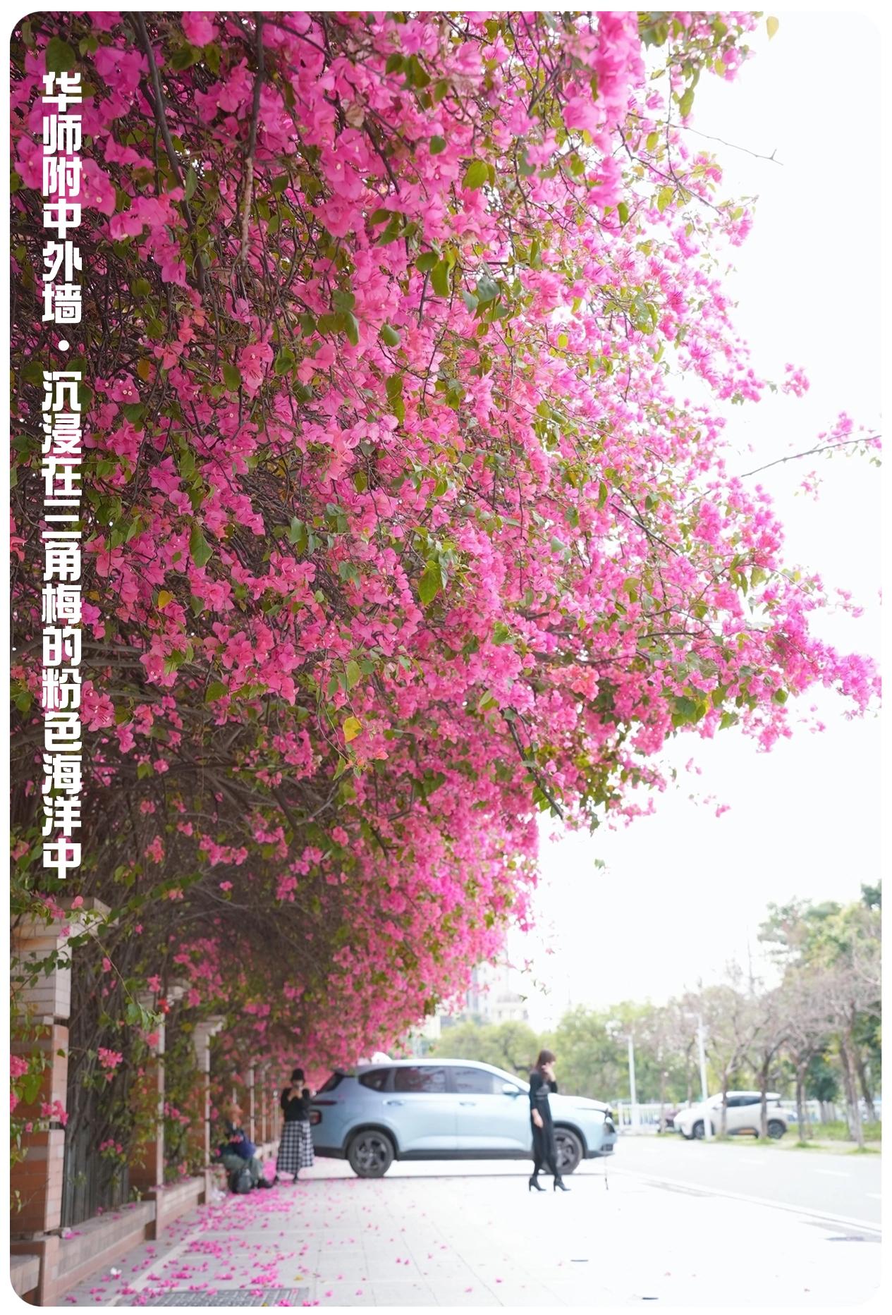 稿定设计-1