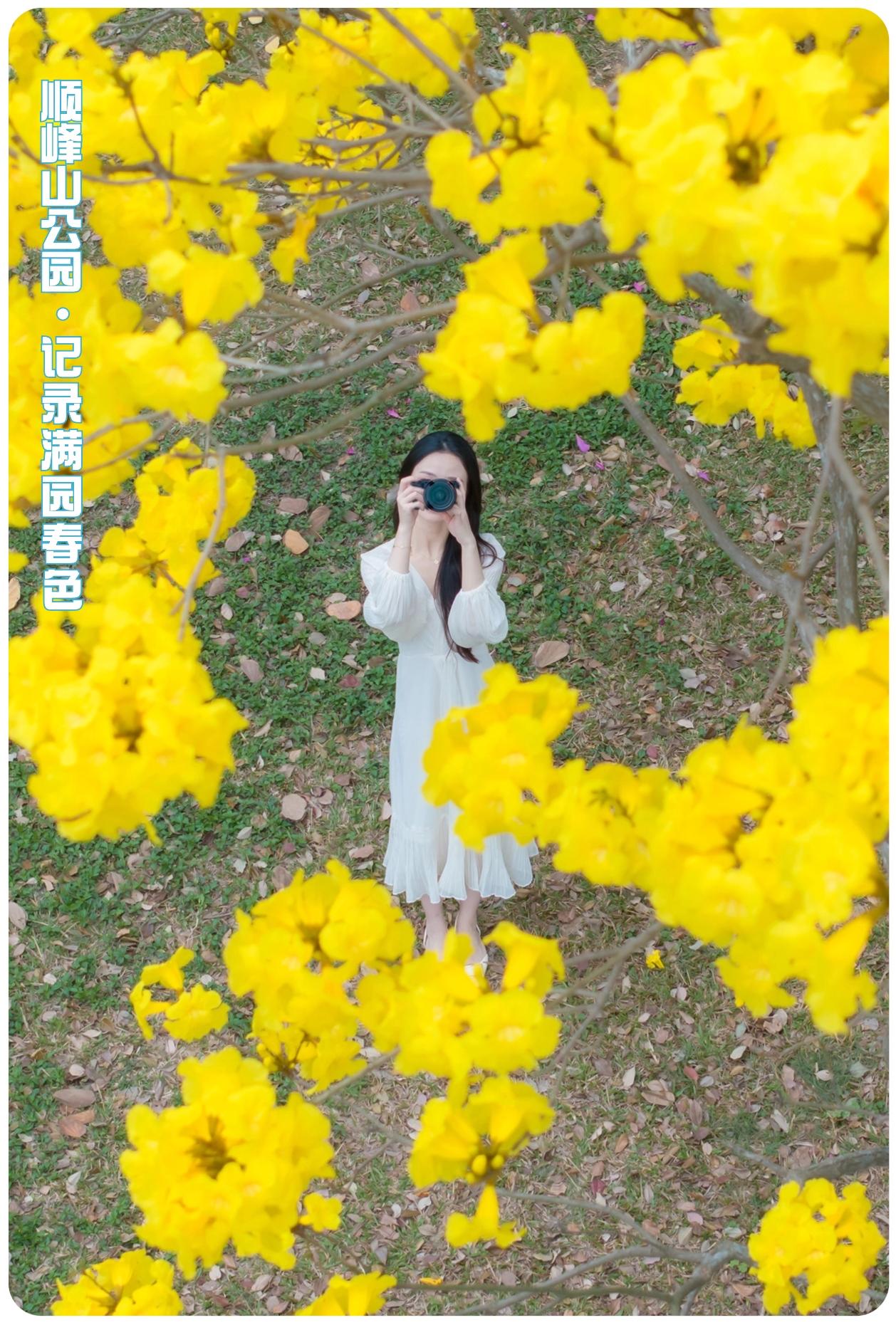 稿定设计-3