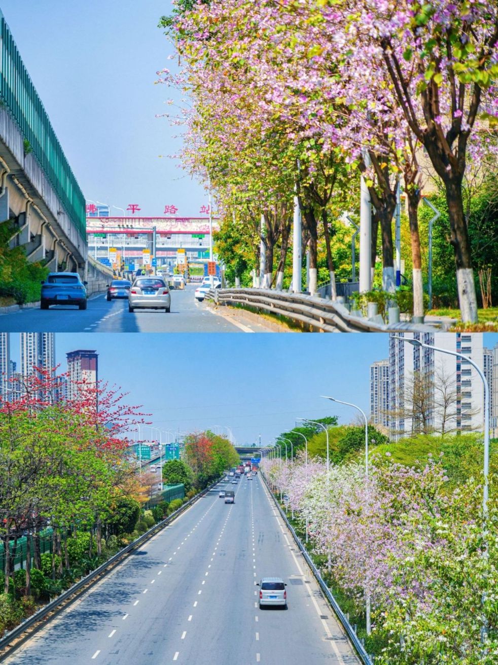 拼图1